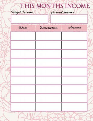 P4L My Life Planner This Months Income